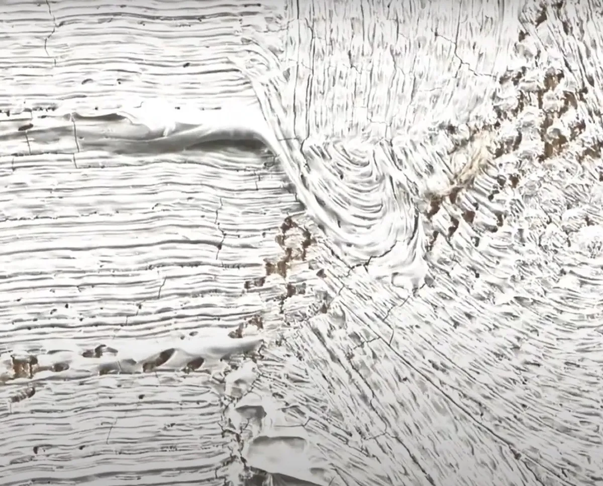 Détail